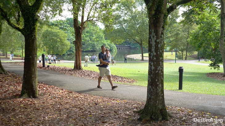 singapore botanic gardens, kebun raya bogor