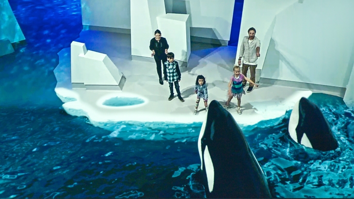 antartic journey, phillip island