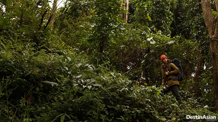 wisata puncak