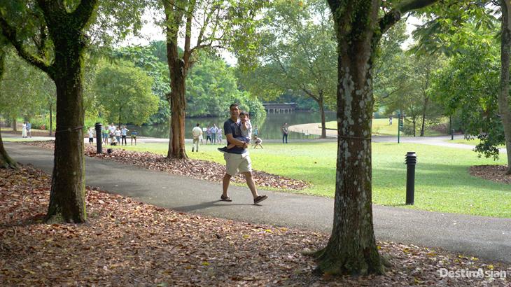 singapore botanic gardens, kebun raya bogor