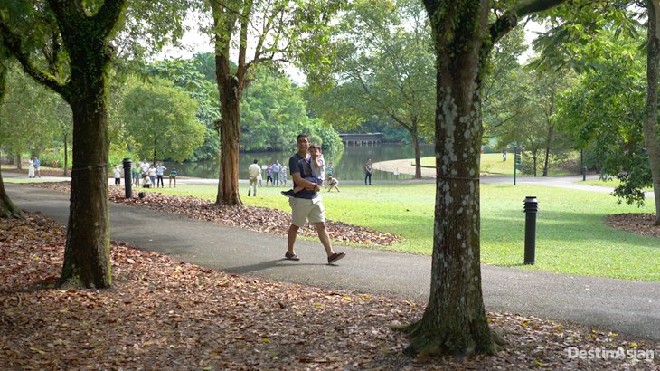 singapore botanic gardens, kebun raya bogor