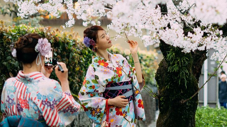sakura jepang