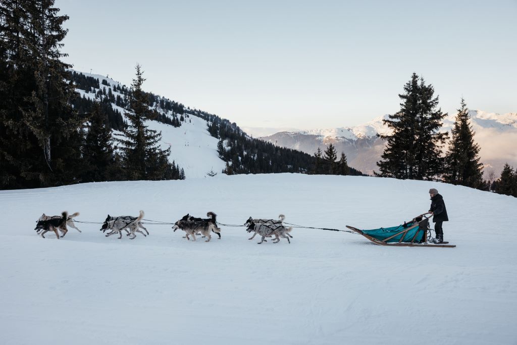 Aman Le Melezin - Experiences, Dog Sledding.tif_35279