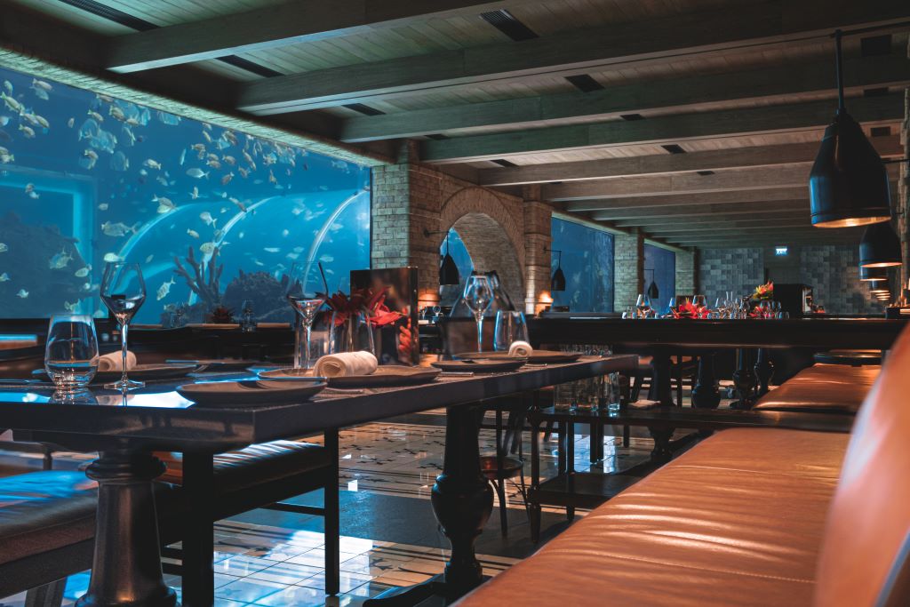 The Apurva Kempinski_Koral Restaurant